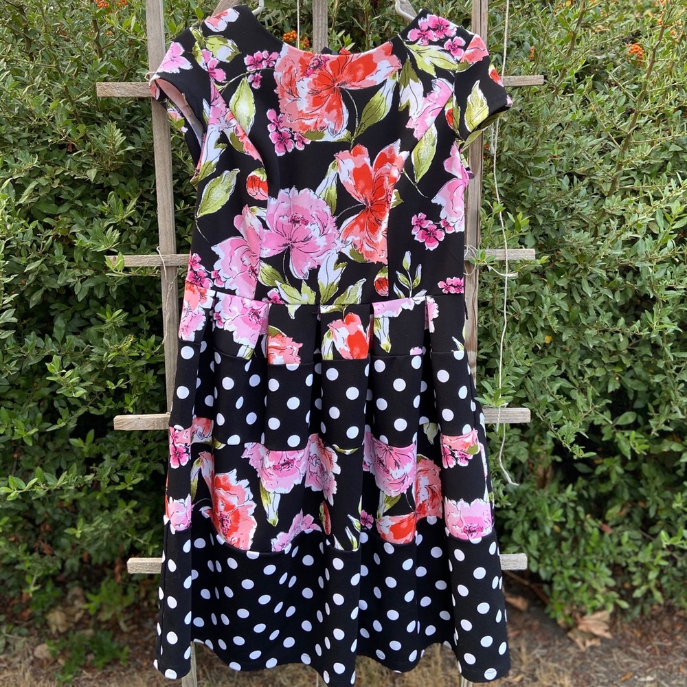Shelby Palmer Dress Size 10